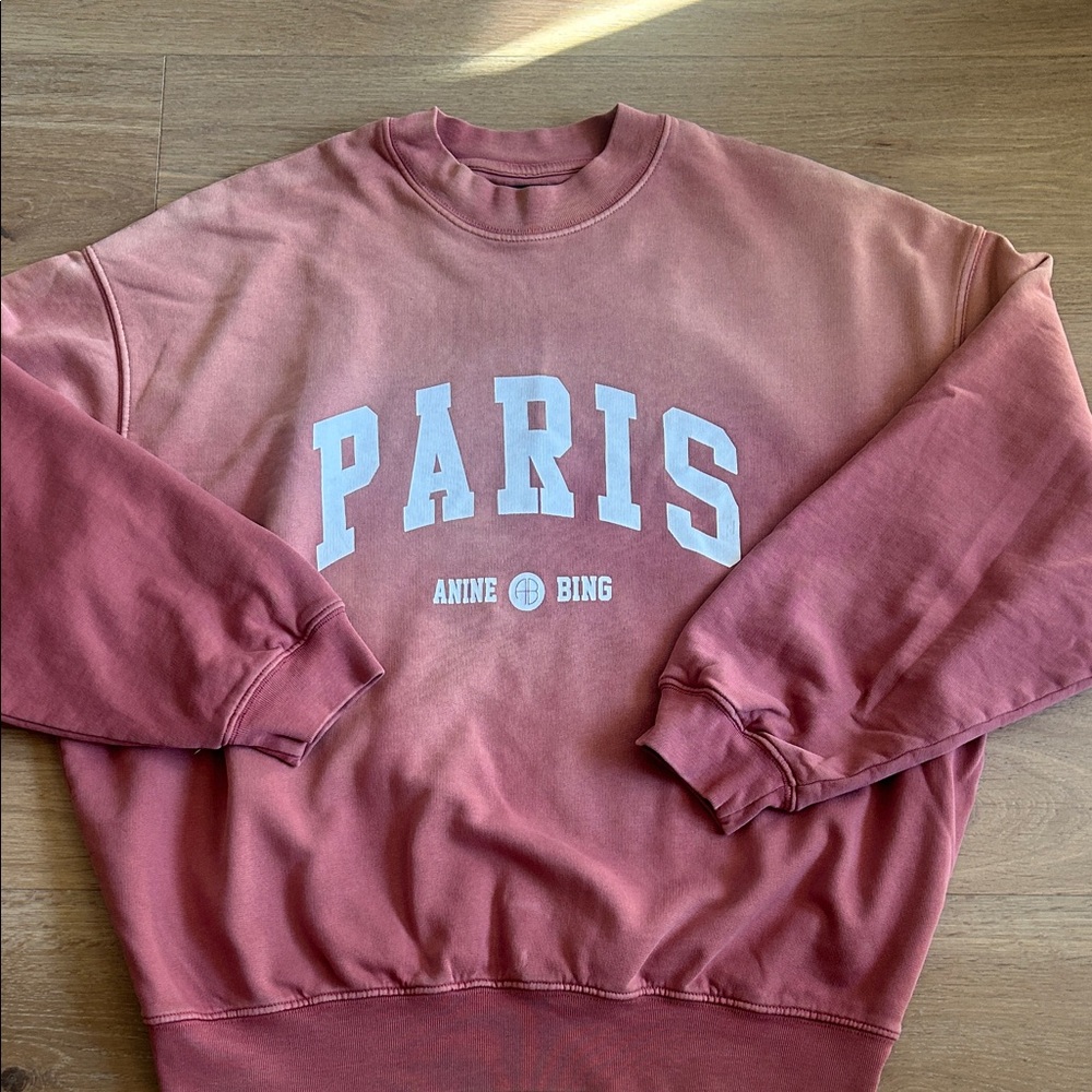 Anine Bing Paris pink  sweatshirt size S